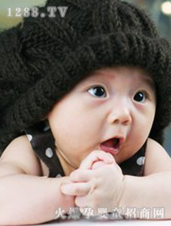 ��������ɐ�(��i)��