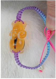 �ۿɌ�ؔ��ţ���