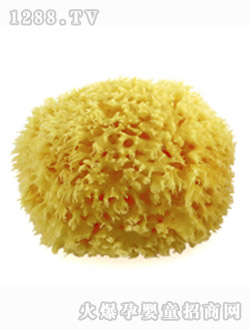 NUK��Ȼ��ԡ���d��