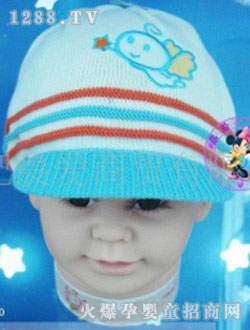 �ɐ�(��i)����ñ��KWZ509-003D