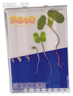 ؐ�޻����L(zh��ng)ʷ�̾�