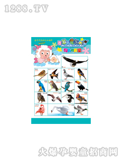 ���L(f��ng)�B(ni��o)�������ÈD��(sh��)