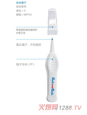 ����������ȫ���