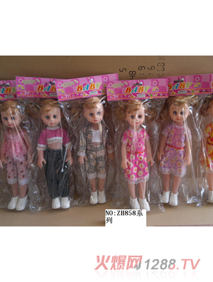 ��������֌�������14��ZH858C