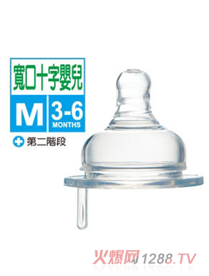 С�{�����͌���ʮ�ֿ�����M-2��(�냺)