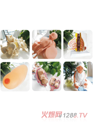 �옷�����ЋD�WУ�̌W�þ�