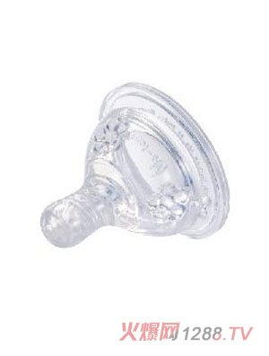 ��������ڏ����������������̖