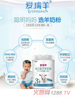 愛瑞羊youe配方羊奶粉（12-36月齡，3段）