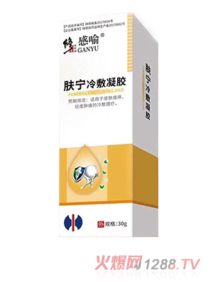 ���������w��������z