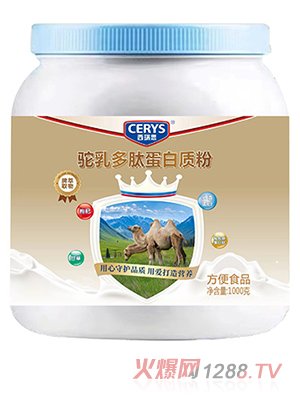 ����˼�����ĵ��׷�