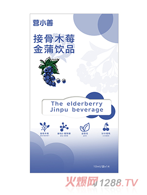 �IС�ƽӹ�ľݮ�����Ʒ