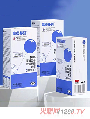 贏養(yǎng)每刻DHA藻油藍莓葉黃素酯軟糖