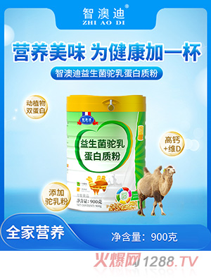 �ǰĵ���������鵰���|��