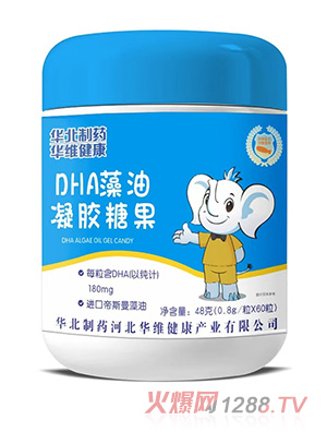 �A����ˎ�A�S����DHA�������z�ǹ�48��