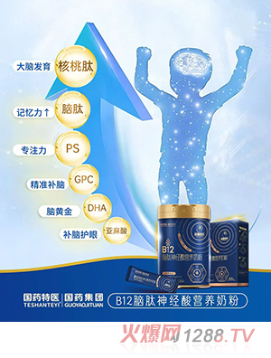 國藥特醫(yī)B12腦肽神經(jīng)酸營養(yǎng)奶粉