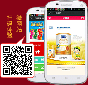 掃描體驗(yàn)微網(wǎng)站